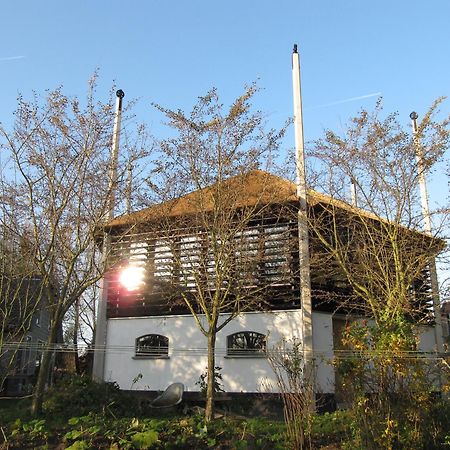 Boerenhofstede De Overhorn ウェースプ エクステリア 写真