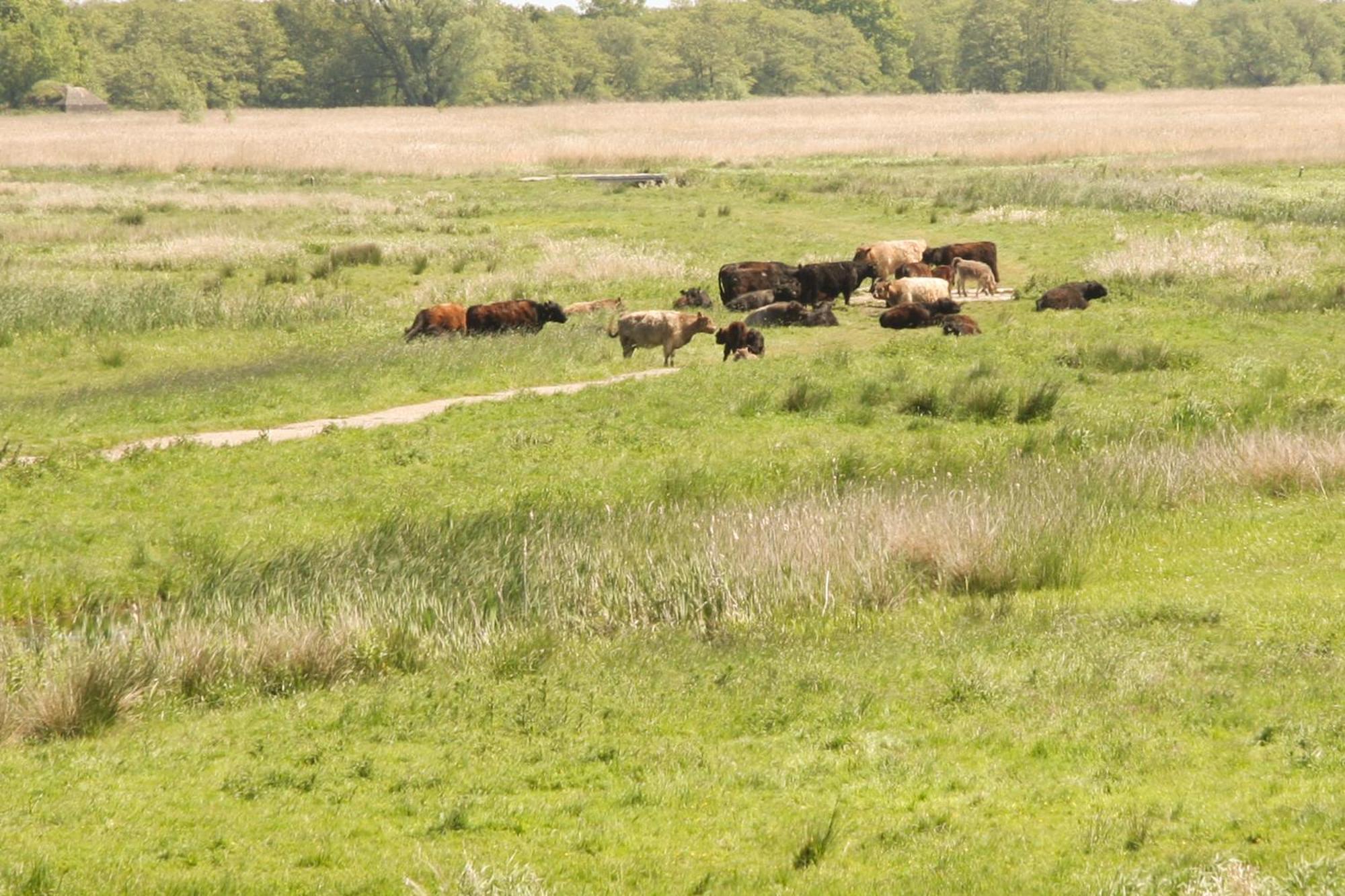 Boerenhofstede De Overhorn ウェースプ 部屋 写真